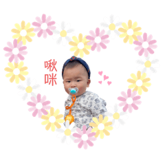 俊希寶寶