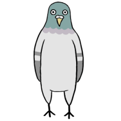 Hato-chan (pigeon)