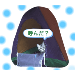 トラ Lineクリエイターズスタンプまとめ Stamplist トラ Lineクリエイターズスタンプまとめ Stamplist