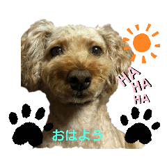 yukari_20200312203117