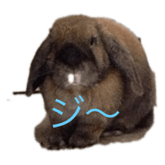 takumi_20200312210937