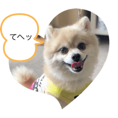 marina_20200312223137