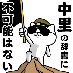 "NAKAZATO"name/Military cat