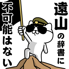 "TOYAMA"name/Military cat