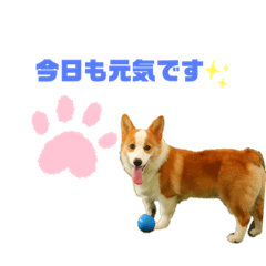 konatsu_20200312182718
