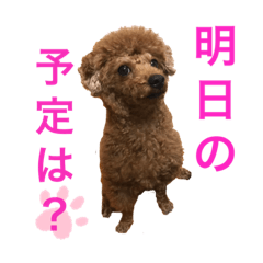 折田家 No.3〜あふれちゃった〜