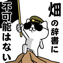 "HATAKE"name/Military cat