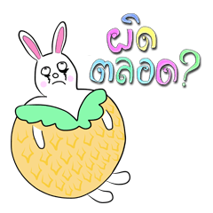 Boomme Rabbit (Thai)
