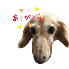 KURUMI_20200312231317