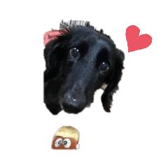 marina_20200313003940