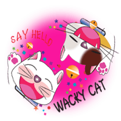 Wacky Cat