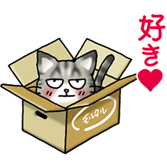 I love cats! Part26(Cat and box)
