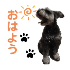 hayato_20200313023209