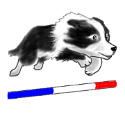 Mr.Very! Disc&agility competitions