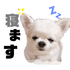 asuka_20200312225443