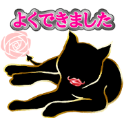 Step up Cat