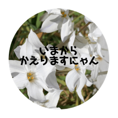 Tono_20200313144738