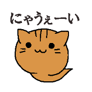 Tadpole cat
