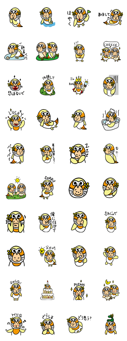 HAPPY MISS OWL
