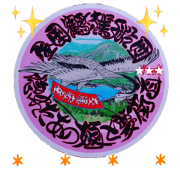 tsuruga fleet NO3