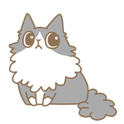 Cute Cat Charlotte