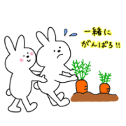 The heartwarming rabbit