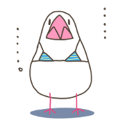 Birds Omame