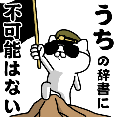 "UCHI"name/Military cat