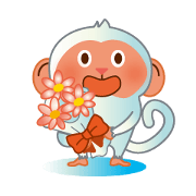 Snow monkey