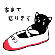 cat in white socks