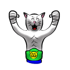 Mr.Yamada cat daily life . boxing .