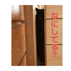 chisa_20200313172625