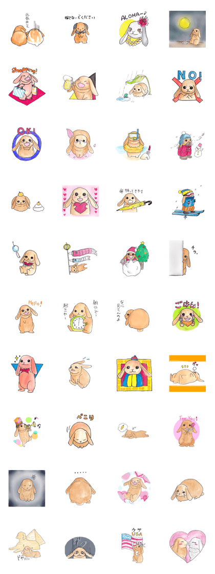 Chobo Lop-Rabbit