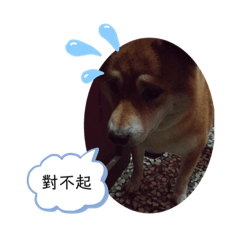 Yun_2020316