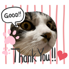 kurumi_20200313190035