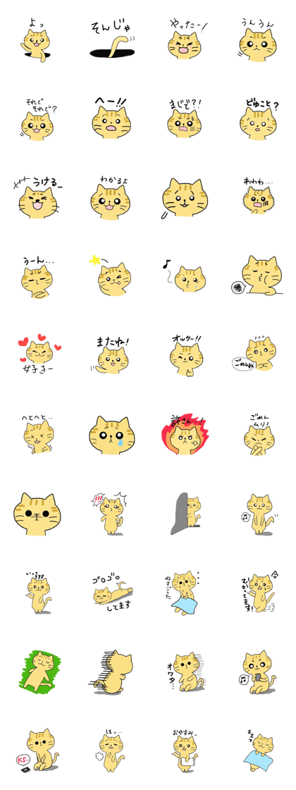 Brown cat Tama