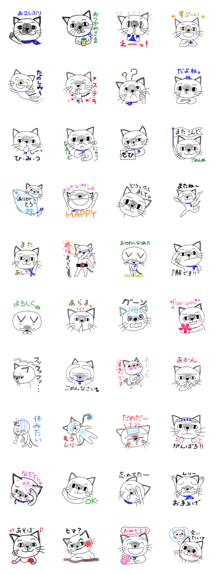 chobi cat 2