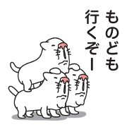 Here to Come kitten 2