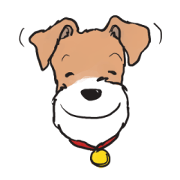 Feelings of Wire Fox Terrier