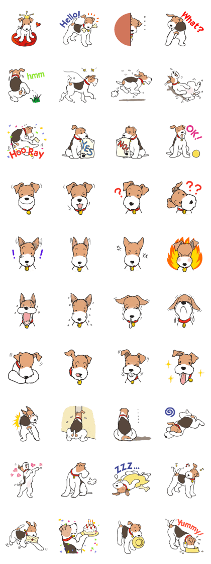 Feelings of Wire Fox Terrier