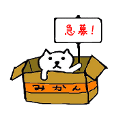 Abandoned cat (doll) story