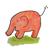 sunset elephant ZO