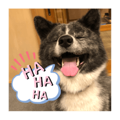 akiko_20200313220627