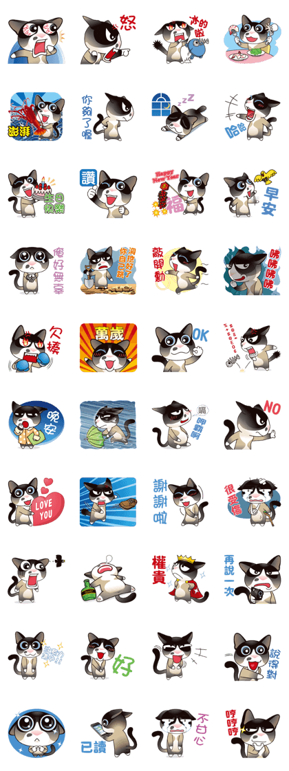 Bad Snowshoe Cat