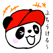 Daily life of the Panda2