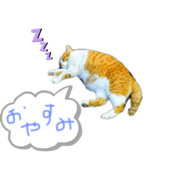 あいうえおかさな
