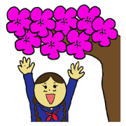 Sakurasaku