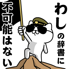 "WASHI"name/Military cat