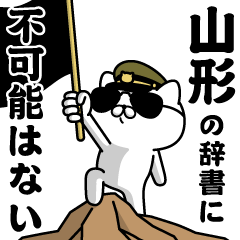 "YAMAGATA"name/Military cat