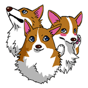 Pembroke Welsh Corgi Manly Sticker